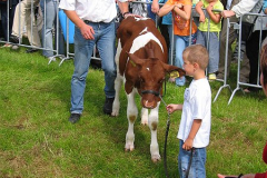 2005-08-06-11-06-13-060