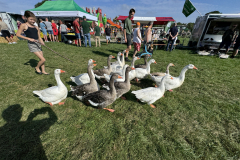IMG_2346