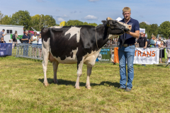 Winnende-koe-2025-2
