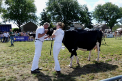 thumbnail_Foto-Roel-van-Deursen-Fokveedag-65e-editie-Hellevoesluis-2025-08-09-11
