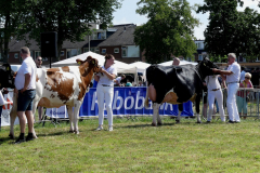 thumbnail_Foto-Roel-van-Deursen-Fokveedag-65e-editie-Hellevoesluis-2025-08-09-12