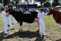 thumbnail_Foto-Roel-van-Deursen-Fokveedag-65e-editie-Hellevoesluis-2025-08-09-14