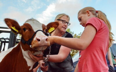 Kids krijgen cursus showmanship