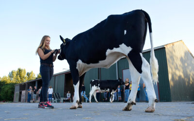 Oefenen voor het kampioenschap Showmanship