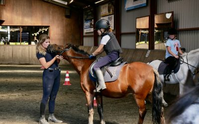 Pony rijden met manege stal Flicka