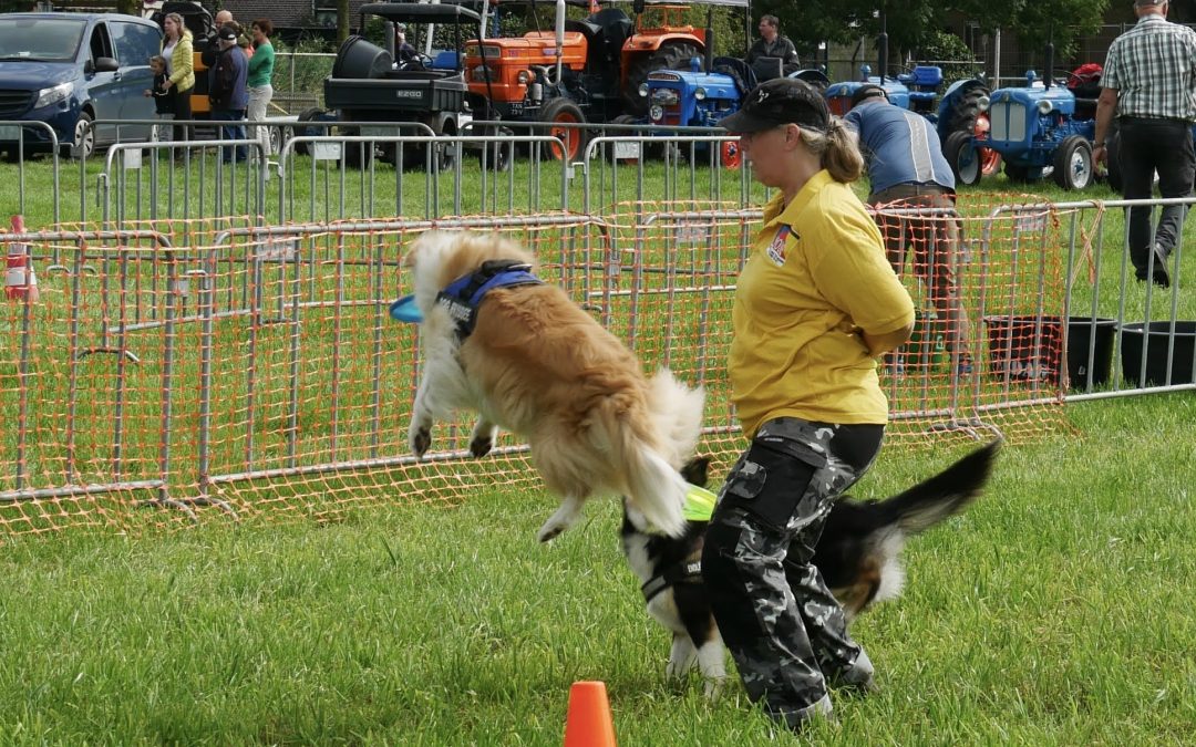 Helaas verhinderd: Endless Dog Fun