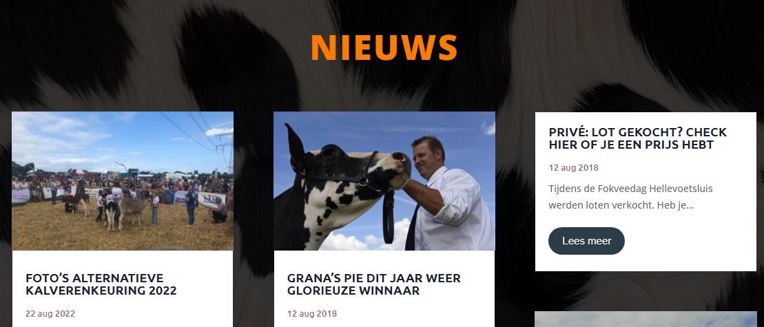 bericht_uitgelicht_featured_2
