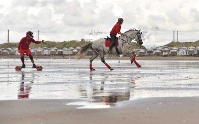 Horse boarding? Dat is bijzonder …