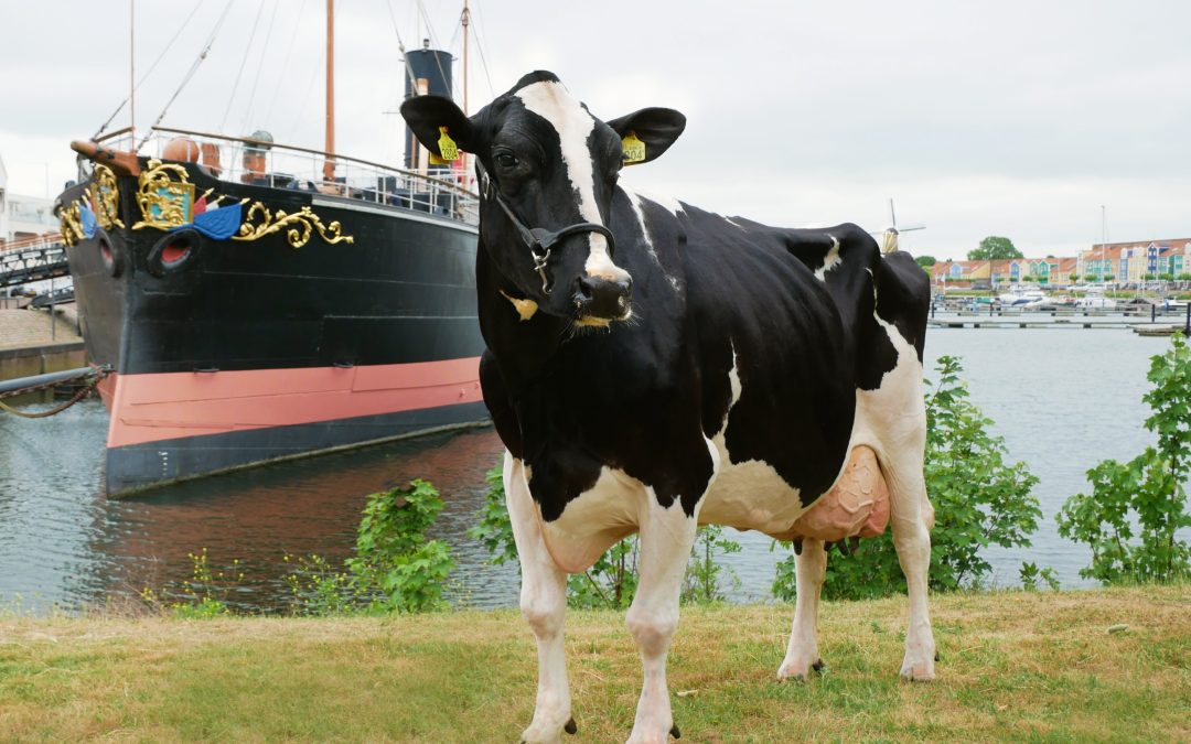 Trijntje 196 en ramtorenschip De Buffel