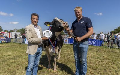 Gerda 241 wint het algemeen kampioenschap 2025